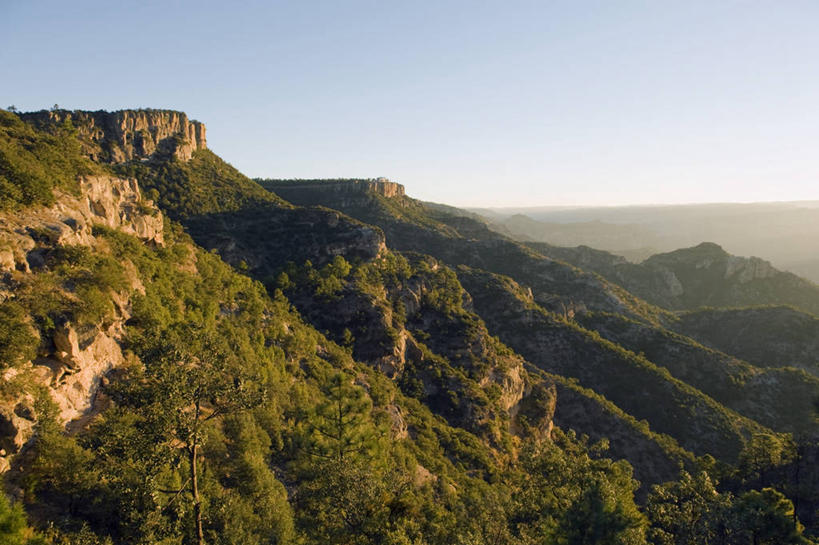 无人,横图,俯视,航拍,室外,白天,旅游,度假,美景,森林,山,山脉,树林,植物,墨西哥,阴影,光线,纹路,纹理,影子,景观,山峰,山峦,娱乐,树,树木,蓝色,绿色,蓝天,天空,阳光,自然,群山,天,享受,休闲,景色,放松,生长,晴朗,成长,北美,北美洲,鸟瞰,自然风光,美洲,万里无云,肌理,北亚美利加洲,亚美利加洲,墨西哥合众国,仙人掌王国,奇瓦瓦,奇瓦瓦州,晴空,晴空万里,彩图,高角度拍摄