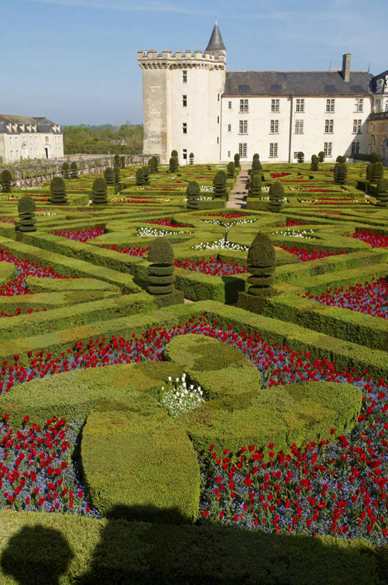 无人,竖图,俯视,室外,白天,爱情,旅游,度假,幸福,纯洁,热情,花海,花圃,植物,标志建筑,地标,建筑,玫瑰,叶子,法国,欧洲,一排,阴影,环保,朦胧,模糊,整齐,盛开,光线,影子,堡垒,城堡,玫瑰花,防护,浪漫,花蕾,娱乐,建设,花,花瓣,花朵,花卉,鲜花,树,树木,排列,红色,蓝色,绿色,蓝天,天空,阳光,自然,花丛,花束,花田,天,花苞,花蕊,享受,休闲,温暖,温馨,旅游胜地,恩爱,放松,生长,晴朗,成长,和睦,要塞,队列,美好,美妙,间隔,感动,万里无云,法兰西共和国,卢瓦尔河地区,美观,雅观,法兰西第五共和国,尊敬,维朗德里城堡,卢瓦尔,卢瓦尔大区,卢瓦尔河大区,设防,绿篱,生篱,树篱,植篱,天真,刺玫花,徘徊花,晴空,晴空万里,彩图,高角度拍摄,融洽