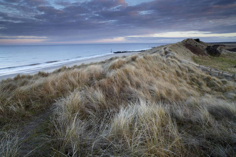 无人,横图,室外,白天,正面,旅游,度假,草地,草坪,海浪,海洋,美景,日落,沙滩,植物,城市,美国,阴影,光线,沙子,影子,海岸,景观,浪花,晚霞,霞光,云,云朵,落日,辽阔,沙地,云彩,娱乐,草,树,树木,蓝色,绿色,白云,蓝天,天空,阳光,自然,海水,黄昏,天,享受,休闲,广阔,景色,彩霞,放松,生长,晴朗,成长,一望无际,北美,北美洲,自然风光,美洲,海景,弗吉尼亚,弗吉尼亚州,诺福克,北亚美利加洲,亚美利加洲,维吉尼亚,老自治领州,无边无际,一马平川,夕照,诺福克郡,诺福克市,大海,风浪,海,海水的波动,海滩,近岸浪,涌浪,晴空,夕阳,彩图,水天相接,水天一线,斜阳