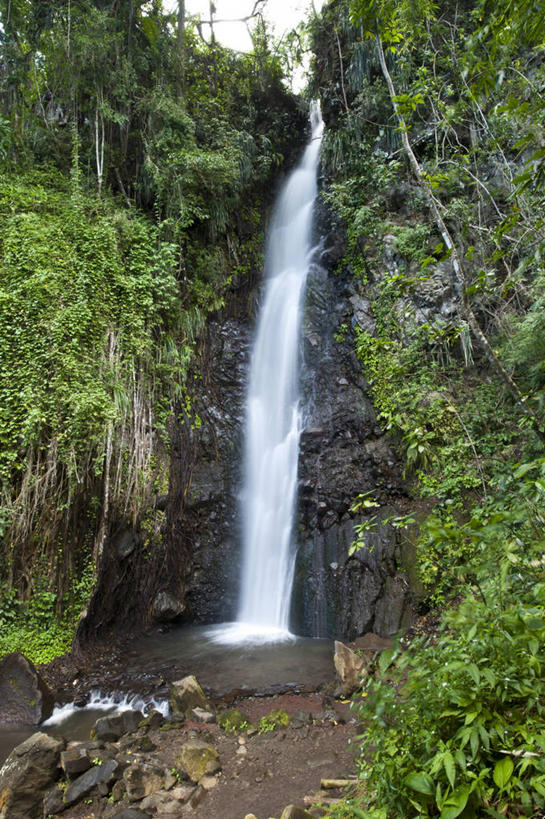 无人,竖图,室外,白天,正面,旅游,度假,草地,草坪,石头,美景,瀑布,水,植物,阴影,飞溅,溅,光线,石子,液体,影子,景观,水滴,青苔,苔藓,娱乐,水珠,草,树,树木,绿色,阳光,自然,享受,休闲,景色,南美,放松,生长,成长,南美洲,西印度群岛,拉丁美洲,喷洒,自然风光,美洲,亚美利加洲,南亚美利加洲,格林纳丁斯,圣文森特,跌水,石块,岩石,彩图