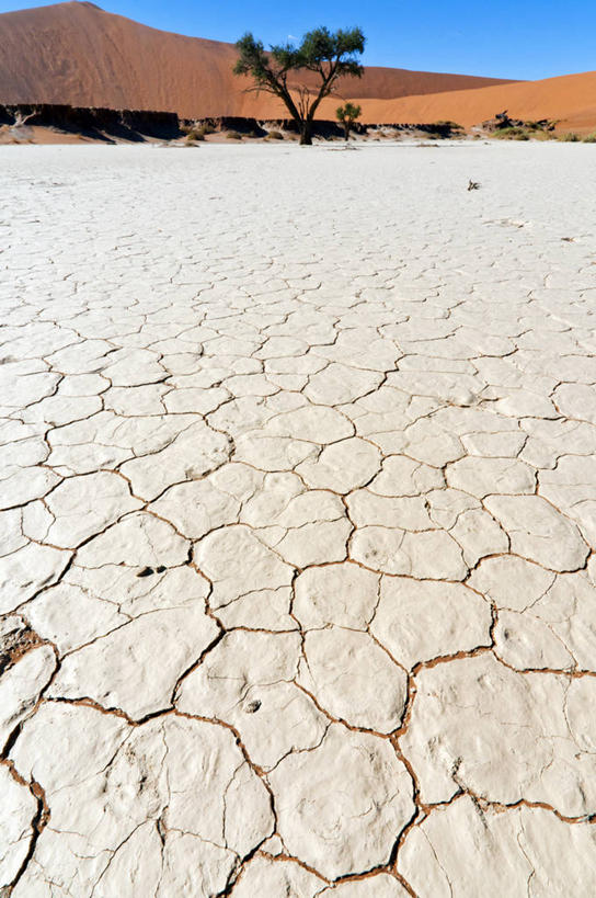 无人,公园,竖图,室外,白天,正面,旅游,度假,石头,美景,沙漠,山,山脉,植物,非洲,纳米比亚,阴影,光线,沙子,石子,影子,景观,山顶,山峰,山峦,娱乐,树,树木,蓝色,绿色,蓝天,天空,阳光,自然,群山,天,享受,休闲,景色,放松,生长,晴朗,成长,国家公园,自然风光,沉积岩,万里无云,纳米比亚共和国,颠峰,极峰,水成岩,纳米布.诺克卢福国家公园,大漠,砂漠,石块,岩石,晴空,晴空万里,彩图