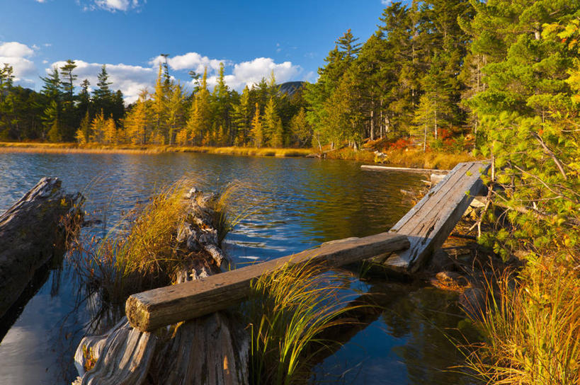 无人,公园,横图,室外,白天,正面,旅游,度假,湖,湖泊,美景,树林,水,植物,美国,阴影,光线,木板,影子,湖面,景观,水流,水面,云,云朵,桥,木桥,云彩,娱乐,栈桥,树,树木,蓝色,绿色,白云,蓝天,天空,阳光,自然,湖水,天,享受,休闲,景色,放松,生长,晴朗,成长,人行桥,木板桥,北美,北美洲,国家公园,自然风光,美洲,缅因州,北亚美利加洲,亚美利加洲,缅因,松林之州,贝克斯特州立公园,晴空,彩图