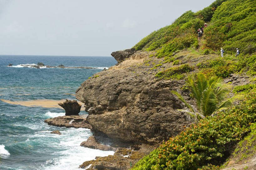 无人,横图,室外,白天,正面,旅游,度假,草地,草坪,海浪,海洋,石头,美景,沙滩,山,山脉,植物,法国,欧洲,沙子,石子,海岸,景观,浪花,山峰,沙地,山峦,娱乐,草,蓝色,绿色,蓝天,天空,自然,海水,群山,天,享受,休闲,景色,放松,晴朗,自然风光,海景,万里无云,法兰西共和国,法兰西第五共和国,马提尼克,马提尼克岛,大海,风浪,海,海水的波动,海滩,近岸浪,石块,岩石,涌浪,晴空,晴空万里,彩图