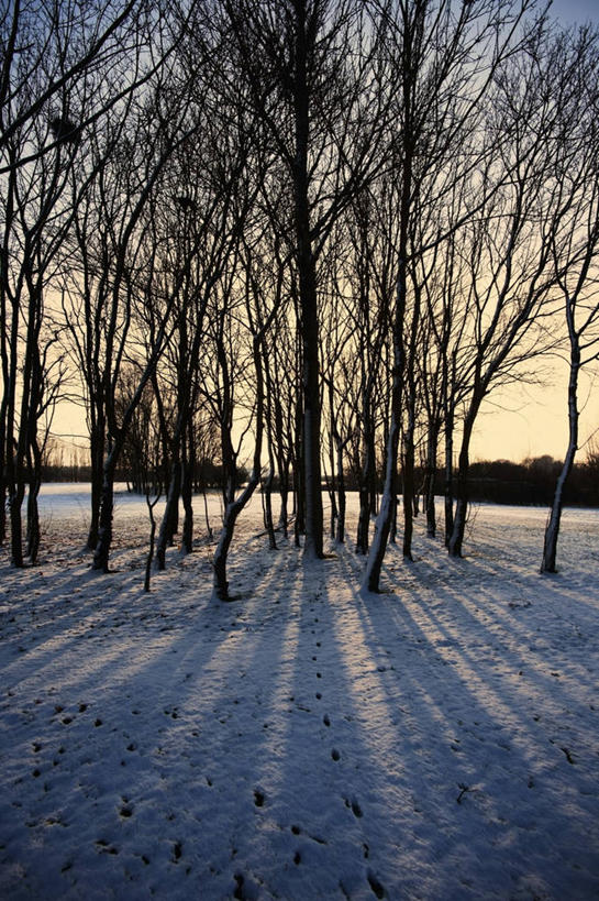 无人,竖图,室外,白天,正面,旅游,度假,日出,美景,太阳,雪,大雪,英国,欧洲,积雪,景观,雪景,冬季,冬天,树桩,朝霞,晨曦,黎明,娱乐,英格兰,树,树干,倒影,阳光,自然,享受,休闲,木桩,景色,放松,寒冷,倒映,西欧,自然风光,大不列颠,大不列颠及北爱尔兰联合王国,严寒,大不列颠联合王国,日不落英帝国,反照,西米德兰兹郡,英吉利,伍斯特郡,西米德兰兹,伍斯特,朝阳,彩图,破晓
