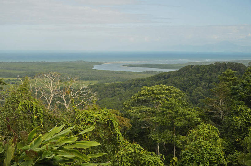 无人,公园,横图,俯视,航拍,室外,白天,旅游,度假,海浪,海洋,美景,森林,沙滩,树林,植物,澳大利亚,阴影,光线,沙子,影子,海岸,景观,浪花,水平线,辽阔,海平线,沙地,娱乐,树,树木,蓝色,绿色,蓝天,天空,阳光,自然,海水,天,享受,休闲,广阔,景色,放松,生长,晴朗,成长,一望无际,国家公园,鸟瞰,自然风光,大洋洲,澳洲,海景,昆士兰州,万里无云,南方大陆,澳大利亚联邦,昆士兰,无边无际,一马平川,丹翠国家公园,大海,风浪,海,海水的波动,海滩,近岸浪,涌浪,晴空,晴空万里,彩图,高角度拍摄,水天相接,水天一线