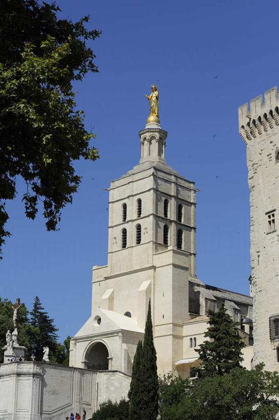 无人,教堂,宫殿,竖图,室外,白天,仰视,旅游,度假,植物,标志建筑,地标,建筑,法国,欧洲,阴影,节日,光线,影子,拱门,文化,娱乐,建设,树,树木,蓝色,绿色,蓝天,天空,阳光,自然,天,祈祷,享受,休闲,健康,旅游胜地,放松,许愿,宗教,信仰,生长,晴朗,成长,纪念,哥特式,祈求,沃克吕兹省,信念,阿维尼翁,万里无云,法兰西共和国,法兰西第五共和国,普罗旺斯.阿尔卑斯.蓝色海岸,教皇宫,平安,晴空,晴空万里,彩图,低角度拍摄,大教堂,皇宫,礼拜堂