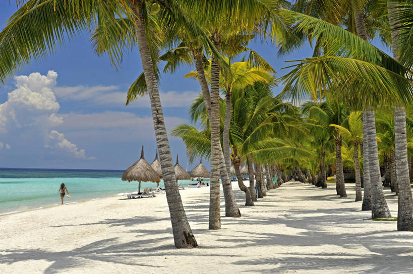 东方人,一个人,走,横图,室外,白天,泳装,比基尼,旅游,度假,海浪,海洋,美景,沙滩,植物,棕榈树,叶子,菲律宾,亚洲,仅一个年轻女性,仅一个女性,仅一个人,阴影,光线,沙子,影子,海岸,景观,浪花,水平线,云,云朵,辽阔,绿叶,海平线,沙地,云彩,注视,黄种人,娱乐,树,树木,背面,蓝色,绿色,白云,蓝天,天空,阳光,自然,海水,天,观察,看,享受,休闲,广阔,嫩叶,景色,放松,东南亚,生长,晴朗,成长,观看,一望无际,察看,关注,自然风光,海景,棕榈叶,薄荷岛,菲律宾共和国,米沙鄢,米沙鄢群岛,无边无际,一马平川,保和岛,保和,年轻女性,女人,女性,亚洲人,叶,叶片,大海,风浪,海,海水的波动,海滩,近岸浪,涌浪,晴空,步行,散步,走路,彩图,全身,三点式,泳衣,水天相接,水天一线