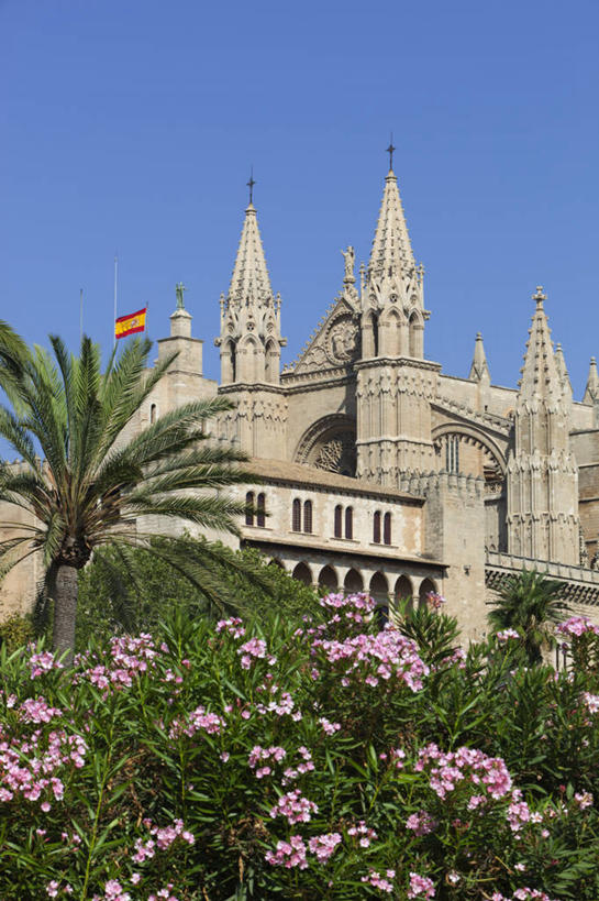 无人,教堂,竖图,室外,白天,仰视,旅游,度假,植物,标志建筑,地标,建筑,棕榈树,叶子,西班牙,欧洲,许多,阴影,节日,盛开,光线,影子,绿叶,花蕾,文化,娱乐,建设,花,花瓣,花朵,鲜花,树,树木,粉色,蓝色,绿色,蓝天,天空,阳光,自然,天,花苞,花蕊,祈祷,享受,休闲,健康,嫩叶,旅游胜地,放松,许愿,宗教,信仰,生长,晴朗,成长,纪念,祈求,南欧,信念,棕榈叶,万里无云,帕尔马,马略卡岛,西班牙王国,帕尔马大教堂,平安,叶,叶片,晴空,晴空万里,彩图,低角度拍摄,大教堂,礼拜堂