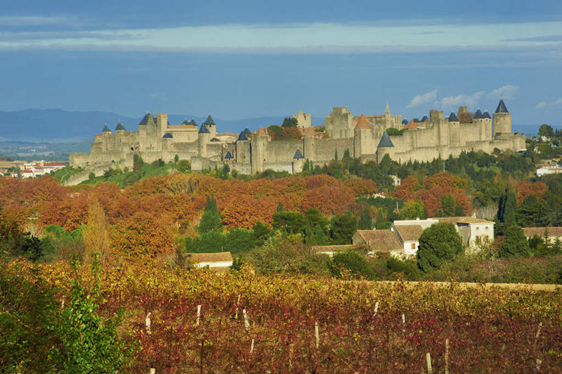无人,横图,室外,白天,正面,旅游,度假,美景,森林,树林,植物,法国,欧洲,阴影,光线,纹路,纹理,影子,堡垒,城堡,景观,娱乐,树,树木,蓝色,绿色,蓝天,天空,阳光,自然,天,享受,休闲,景色,放松,生长,晴朗,成长,要塞,自然风光,万里无云,法兰西共和国,卡尔卡松,肌理,首府,法兰西第五共和国,朗格多克.鲁西永,朗格多克.鲁西永大区,设防,奥德省,晴空,晴空万里,彩图