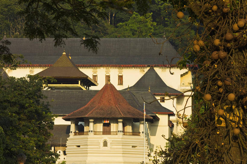 无人,寺庙,横图,室外,白天,正面,旅游,度假,植物,标志建筑,地标,建筑,斯里兰卡,亚洲,阴影,节日,光线,瓦片,影子,屋顶,燃烧,顶棚,瓦,文化,娱乐,建设,树,树木,绿色,阳光,自然,香火,庙宇,祈祷,享受,休闲,健康,旅游胜地,放松,许愿,宗教,建造,信仰,生长,成长,纪念,祈求,南亚,屋瓦,斯里兰卡民主社会主义共和国,佛牙寺,康提,康提古城,马哈努沃勒,达拉达.马利戛瓦,平安,彩图,庙,寺