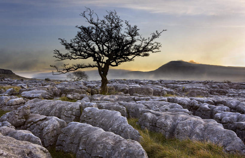 无人,横图,室外,白天,正面,旅游,度假,草地,草坪,石头,美景,日落,植物,英国,欧洲,石子,景观,晚霞,霞光,落日,娱乐,英格兰,草,树,树木,绿色,自然,黄昏,享受,休闲,景色,彩霞,放松,生长,成长,西欧,自然风光,大不列颠,大不列颠及北爱尔兰联合王国,大不列颠联合王国,日不落英帝国,夕照,英吉利,北约克郡,坎布里亚郡,西约克郡,约克郡谷地,石块,岩石,夕阳,彩图,斜阳