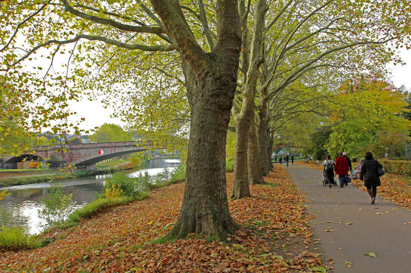 西方人,婴儿,儿童,背部,走,横图,室外,白天,正面,度假,纯洁,草地,草坪,河流,石头,美景,水,植物,城市风光,城市,道路,路,公路,叶子,德国,欧洲,欧洲人,行人,游客,游人,握,阴影,服装,光线,包,石子,影子,河水,景观,水流,桥,枫叶,枯叶,落叶,交通,许多人,拿,旅行包,拿着,注视,休闲装,娱乐,石桥,路人,旅客,拱桥,栈桥,车,婴儿车,草,树,树木,小孩,衣服,黄色,红色,绿色,天空,阳光,自然,背包,天,观察,看,一群人,享受,休闲,休闲服,景色,放松,可爱,握着,服饰,活泼,拱形,生长,晴朗,成长,观看,枫树叶,人行桥,石拱桥,察看,西欧,关注,载具,宝宝,纯真,烂漫,无邪,万里无云,德意志联邦共和国,首府,旅游包,萨尔州,萨尔布吕肯,宝宝车,婴儿手推车,婴儿推车,过客,伶俐,天真,男人,男性,年轻男性,年轻女性,女人,女性,白种人,孩子,叶,叶片,石块,晴空,晴空万里,马路,步行,散步,走路,彩图,全身,双肩包