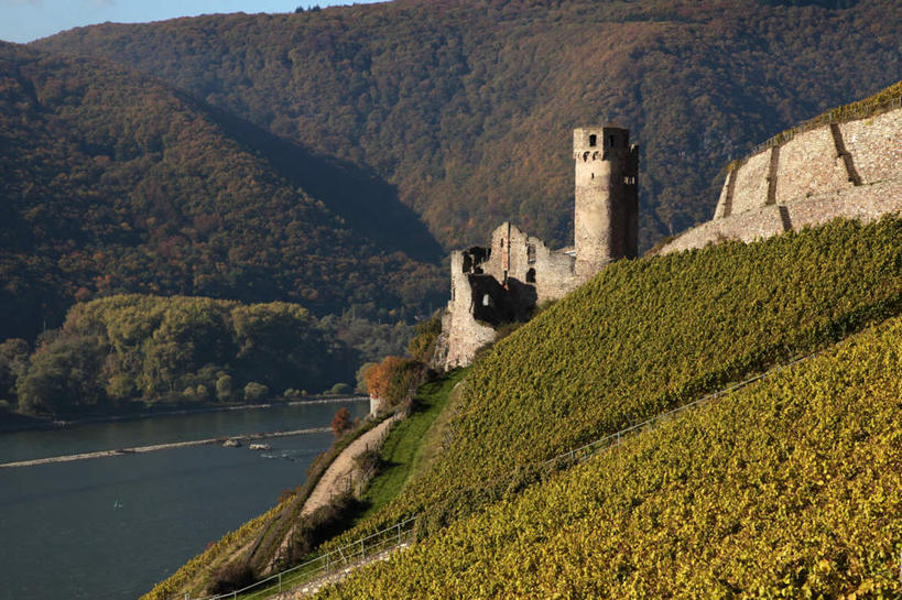 无人,横图,室外,白天,正面,旅游,度假,河流,美景,森林,山,山脉,树林,水,植物,德国,欧洲,阴影,光线,影子,堡垒,城堡,河水,景观,山峰,水流,山峦,娱乐,树,树木,蓝色,绿色,蓝天,天空,阳光,自然,群山,天,享受,休闲,景色,放松,生长,晴朗,成长,西欧,要塞,自然风光,万里无云,德意志联邦共和国,设防,吕德斯海姆,晴空,晴空万里,彩图