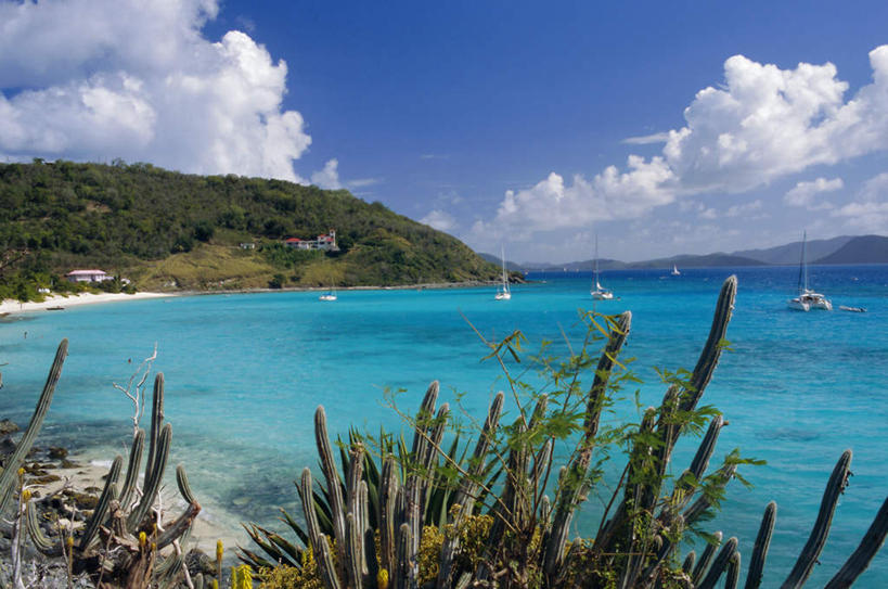 无人,横图,室外,白天,正面,旅游,度假,海浪,海洋,美景,沙滩,山,山脉,植物,轮船,船,仙人掌,加勒比海,许多,阴影,光线,火焰,沙子,影子,海岸,景观,浪花,山峰,云,云朵,草药,沙地,山峦,很多,云彩,娱乐,中药,树,树木,蓝色,绿色,白云,蓝天,天空,自然,海水,交通工具,群山,天,享受,休闲,景色,南美,放松,生长,晴朗,成长,南美洲,拉丁美洲,自然风光,载具,美洲,药材,中草药,海景,中药材,本草,英属维尔京群岛,英属维京群岛,维京群岛,牛舌头,亚美利加洲,南亚美利加洲,处女群岛,维尔京群岛,英属处女群岛,约斯特范代克岛,大海,风浪,海,海水的波动,海滩,近岸浪,涌浪,晴空,玉芙蓉,仙巴掌,火掌,霸王树,彩图