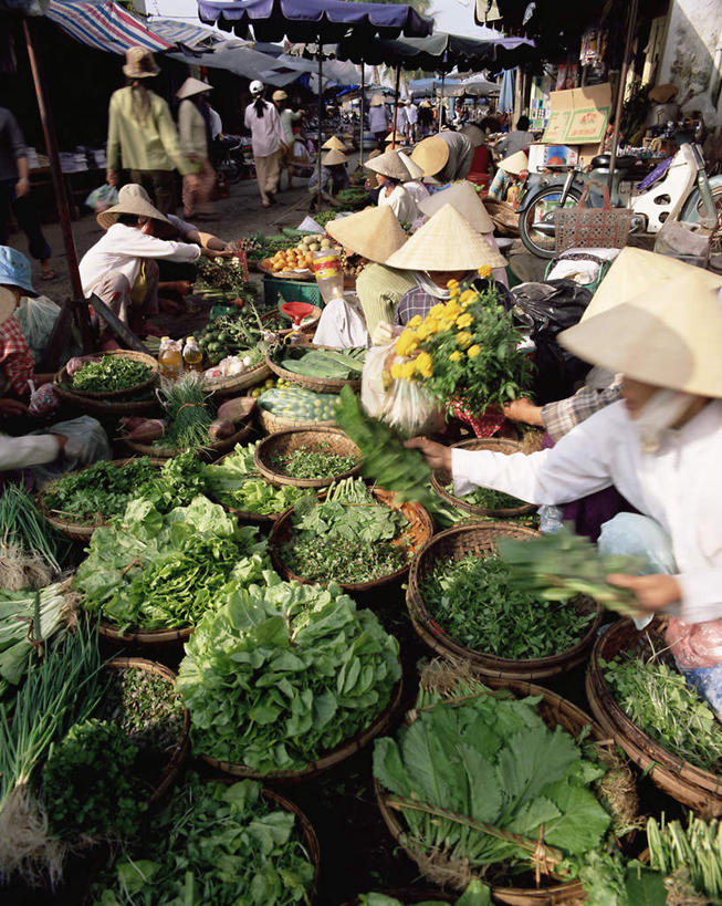 东方人,站,坐,交叉,竖图,室外,白天,侧面,旅游,度假,植物,竹子,棕榈树,香蕉,蔬菜,水果,叶子,越南,亚洲,一堆,许多,握,阴影,堆叠,堆积,竹制,服装,新鲜,盛开,编织,光线,篮子,伞,影子,雨伞,遮阳伞,生食,食品,果实,绿叶,很多,许多人,拿,花蕾,拿着,注视,休闲装,黄种人,娱乐,阳伞,货摊,斗笠,花,花瓣,花朵,鲜花,树,树木,食物,衣服,蓝色,绿色,蓝天,天空,阳光,自然,竹篮,天,花苞,花蕊,观察,看,站着,一群人,享受,休闲,休闲服,嫩叶,放松,握着,服饰,东南亚,有机食品,绿色食品,生长,晴朗,成长,观看,竹条,堆,交织,察看,竹制品,关注,棕榈叶,万里无云,越南社会主义共和国,穿插,岘港市,女人,女性,中年女性,亚洲人,叶,叶片,晴空,晴空万里,甘蕉,站立,坐着,半身,彩图