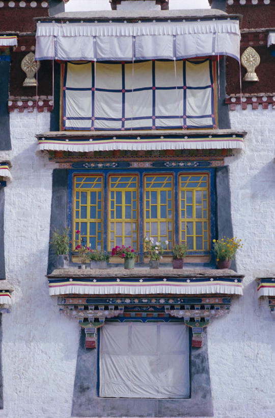 无人,竖图,室外,白天,仰视,旅游,度假,名胜古迹,窗帘,标志建筑,地标,建筑,中国,亚洲,阴影,节日,遗迹,装饰,盛开,光线,影子,墙,花蕾,古迹,文化,文物,娱乐,建设,古建筑,拉萨,西藏,墙壁,墙面,花,花瓣,花朵,鲜花,阳光,帘子,花苞,花蕊,祈祷,享受,休闲,健康,遮阳,旅游胜地,放松,许愿,宗教,信仰,纪念,华丽,修饰,祈求,点缀,基督教,天主教,修道院,藏,信念,古文明,东亚,西藏自治区,首府,中华人民共和国,西南地区,衬托,美观,雅致,雅观,拉萨市,哲蚌寺,神学院,修院,隐修院,平安,彩图,低角度拍摄