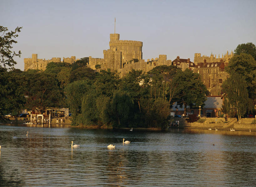 游泳,无人,横图,室外,白天,正面,旅游,度假,河流,水,植物,标志建筑,地标,建筑,鸟,野生动物,天鹅,英国,欧洲,三只,阴影,光线,鸟类,影子,堡垒,城堡,墙,河水,水流,注视,娱乐,建设,英格兰,温莎城堡,墙壁,墙面,树,树木,蓝色,绿色,倒影,蓝天,天空,阳光,自然,动物,天,观察,看,享受,休闲,旅游胜地,放松,可爱,生长,晴朗,成长,观看,察看,倒映,西欧,要塞,关注,大不列颠,大不列颠及北爱尔兰联合王国,万里无云,温莎古堡,泅水,大不列颠联合王国,日不落英帝国,反照,英吉利,拍浮,设防,温莎镇,晴空,晴空万里,鹄,彩图,全身,小天鹅