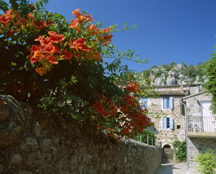 无人,家,横图,室外,白天,仰视,度假,石头,美景,窗户,城市风光,城市,法国,欧洲,一排,阴影,整齐,盛开,光线,石子,影子,百叶窗,房屋,墙,屋子,景观,花蕾,娱乐,楼房,墙壁,墙面,住宅,花,花瓣,花朵,鲜花,排列,蓝色,蓝天,天空,阳光,天,花苞,花蕊,享受,休闲,景色,放松,晴朗,西欧,队列,法兰西,万里无云,法兰西共和国,法兰西第五共和国,阿尔代什,阿尔代什省,石块,岩石,晴空,晴空万里,彩图,低角度拍摄,房子,罗讷.阿尔卑斯,罗讷.阿尔卑斯大区
