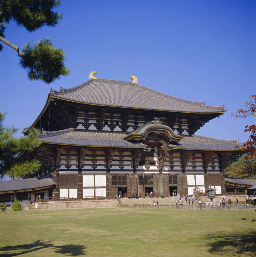 东方人,寺庙,走,竖图,室外,白天,正面,旅游,度假,草地,草坪,植物,标志建筑,地标,建筑,奈良县,日本,亚洲,阴影,服装,节日,光线,影子,许多人,注视,休闲装,黄种人,文化,娱乐,建设,草,树,树木,衣服,蓝色,绿色,蓝天,天空,阳光,自然,庙宇,天,观察,看,祈祷,一群人,享受,休闲,健康,休闲服,旅游胜地,放松,许愿,宗教,服饰,佛教,信仰,生长,晴朗,成长,观看,纪念,祈求,察看,关注,东亚,本州,世界文化遗产,万里无云,本州岛,日本国,近畿地方,奈良,东大寺,近畿,释教,平安,男人,男性,女人,女性,中年男性,中年女性,亚洲人,晴空,晴空万里,步行,散步,走路,彩图,全身,庙,寺