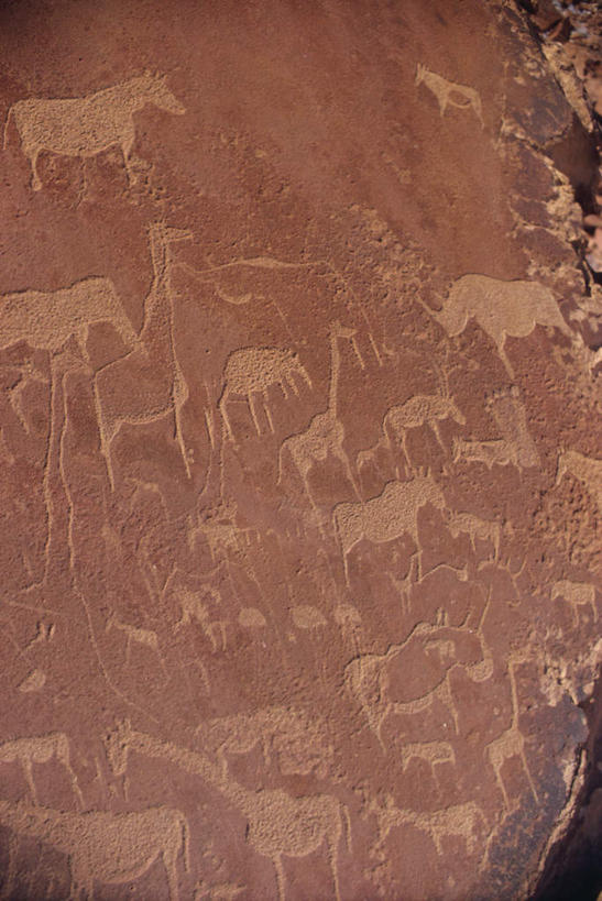 无人,竖图,室外,特写,白天,正面,旅游,度假,绘画,名胜古迹,标志建筑,地标,建筑,哺乳动物,长颈鹿,野生动物,非洲,纳米比亚,许多,阴影,朦胧,模糊,遗迹,艺术,装饰,光线,影子,墙,古迹,文化,文物,娱乐,建设,古建筑,壁画,墙壁,墙面,阳光,动物,享受,休闲,旅游胜地,放松,可爱,活泼,华丽,修饰,点缀,羊驼,古文明,衬托,美观,雅致,雅观,驼羊,纳米比亚共和国,达马拉兰,画画,半身,彩图