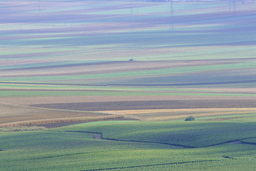 无人,农田,横图,俯视,航拍,室外,白天,旅游,度假,庄稼,农作物,草地,草坪,美景,植物,法国,欧洲,阴影,光线,影子,景观,娱乐,草,树,树木,绿色,阳光,自然,香槟,享受,休闲,景色,放松,生长,成长,鸟瞰,自然风光,法兰西共和国,法兰西第五共和国,彩图,高角度拍摄,耕地,庄稼田,阿登,阿登大区