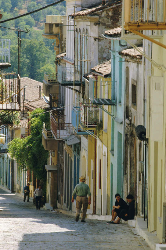 西方人,家,坐,走,竖图,室外,白天,度假,美景,植物,城市风光,城市,道路,路,希腊,欧洲,欧洲人,一排,阴影,服装,整齐,光线,影子,房屋,墙,屋子,景观,公寓,小路,交通,许多人,注视,休闲装,娱乐,洋房,楼房,墙壁,墙面,住宅,树,树木,排列,背面,衣服,绿色,阳光,自然,观察,看,一群人,享受,休闲,休闲服,景色,放松,服饰,生长,成长,观看,察看,耕作,队列,关注,希腊共和国,北爱琴海,北爱琴海大区,莱斯博斯岛,男人,男性,女人,女性,中年男性,中年女性,白种人,步行,散步,走路,坐着,彩图,全身,房子