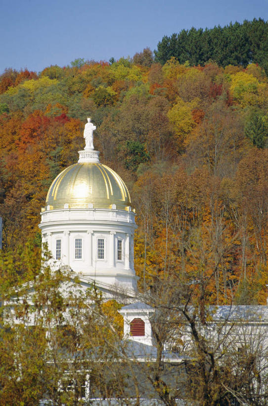 无人,高楼大厦,竖图,室外,白天,正面,度假,办公楼,美景,森林,树林,植物,窗户,城市风光,城市,大厦,建筑,摩天大楼,写字楼,美国,一排,阴影,整齐,光线,影子,墙,景观,娱乐,玻璃窗,墙壁,墙面,树,树木,排列,蓝色,绿色,蓝天,天空,阳光,自然,楼宇,天,享受,休闲,商务楼,景色,放松,生长,晴朗,成长,北美,北美洲,队列,美洲,万里无云,佛蒙特州,佛蒙特,绿岭之州,首府,北亚美利加洲,亚美利加洲,蒙彼利埃,蒙比利埃,蒙皮立,蒙贝利,晴空,晴空万里,彩图,大楼,高层建筑,高楼,摩天楼