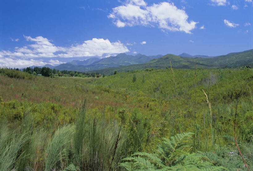 无人,横图,室外,白天,正面,旅游,度假,草地,草坪,石头,美景,山,山脉,植物,非洲,南非,阴影,光线,石子,影子,地平线,景观,山顶,山峰,云,云朵,辽阔,地面,山峦,云彩,娱乐,草,蓝色,绿色,白云,蓝天,天空,阳光,自然,群山,天,享受,休闲,广阔,景色,放松,晴朗,一望无际,自然风光,延伸,沉积岩,天地相交,阿非利加洲,南非共和国,西开普省,无边无际,一马平川,颠峰,极峰,克尼斯纳,水成岩,花园大道,石块,岩石,晴空,彩图