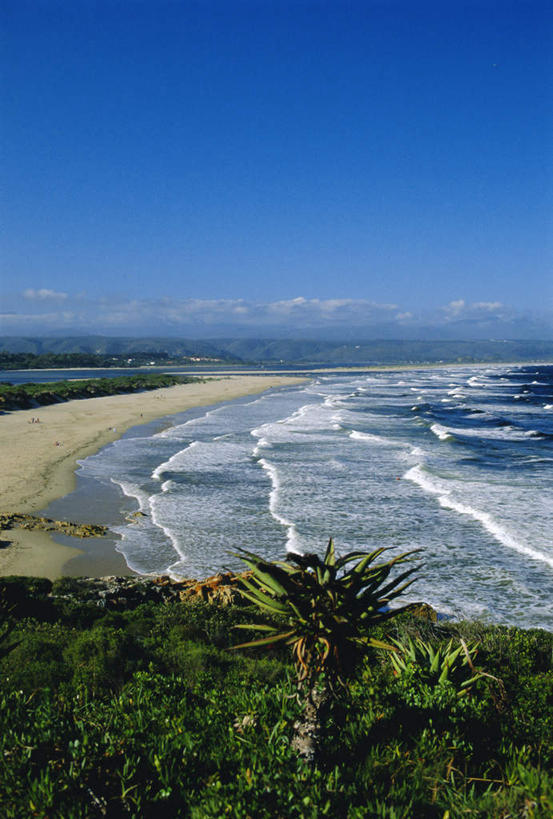 无人,竖图,室外,白天,正面,旅游,度假,海浪,海洋,美景,沙滩,植物,棕榈树,叶子,非洲,南非,阴影,飞溅,溅,光线,沙子,液体,影子,海岸,海面,景观,浪花,水滴,云,云朵,绿叶,沙地,云彩,娱乐,水珠,树,树木,蓝色,绿色,白云,蓝天,天空,阳光,自然,海水,天,享受,休闲,嫩叶,景色,放松,生长,晴朗,成长,涨潮,碰撞,喷洒,自然风光,海景,棕榈叶,海潮,阿非利加洲,南非共和国,西开普省,潮水,潮汐,落潮,花园大道,叶,叶片,大海,风浪,海,海水的波动,海滩,近岸浪,涌浪,晴空,彩图