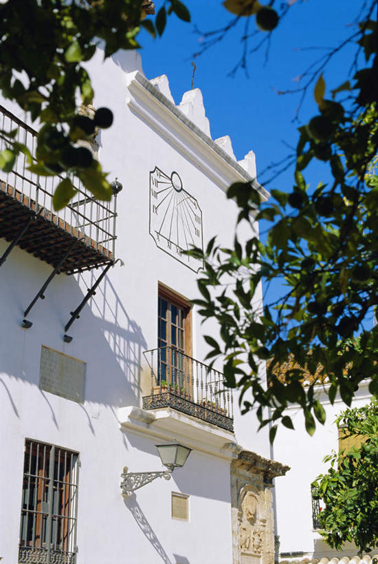 无人,家,栏杆,露台,竖图,室外,白天,仰视,度假,美景,植物,别墅,阳台,城市风光,城市,叶子,西班牙,欧洲,阴影,光线,影子,房屋,墙,屋子,景观,公寓,围栏,绿叶,娱乐,洋房,护栏,楼房,安达卢西亚,墙壁,墙面,住宅,树,树木,蓝色,绿色,蓝天,天空,阳光,自然,天,享受,休闲,嫩叶,景色,放松,生长,晴朗,成长,南欧,安达鲁西亚,马拉加省,万里无云,马拉加,西班牙王国,安达卢西亚自治区,马贝拉,马尔贝拉,叶,叶片,晴空,晴空万里,彩图,低角度拍摄,房子,露天阳台