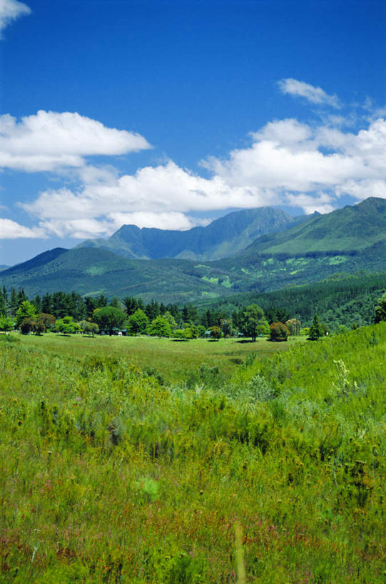 无人,竖图,室外,白天,正面,旅游,度假,草地,草坪,石头,美景,山,山脉,植物,非洲,南非,阴影,光线,石子,影子,景观,山顶,山峰,云,云朵,山峦,云彩,娱乐,草,树,树木,蓝色,绿色,白云,蓝天,天空,阳光,自然,群山,天,享受,休闲,景色,放松,生长,晴朗,成长,自然风光,沉积岩,阿非利加洲,南非共和国,西开普省,颠峰,极峰,水成岩,花园大道,石块,岩石,晴空,彩图