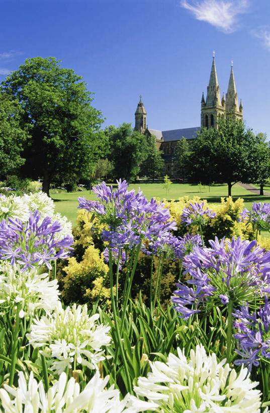 无人,教堂,竖图,室外,白天,正面,旅游,度假,草地,草坪,花海,花圃,美景,植物,百合花,叶子,澳大利亚,阴影,节日,盛开,光线,影子,景观,云,云朵,花蕾,云彩,文化,娱乐,草,花,花瓣,花朵,花卉,鲜花,树,树木,蓝色,绿色,白云,蓝天,天空,阳光,自然,花丛,花束,花田,天,花苞,花蕊,祈祷,享受,休闲,健康,景色,放松,许愿,宗教,信仰,生长,晴朗,成长,纪念,祈求,基督教,天主教,自然风光,大洋洲,澳洲,信念,南方大陆,首府,强瞿,澳大利亚联邦,阿德莱德,南澳大利亚,南澳大利亚州,平安,百合蒜,倒仙,番韭,山丹,晴空,彩图,大教堂,礼拜堂