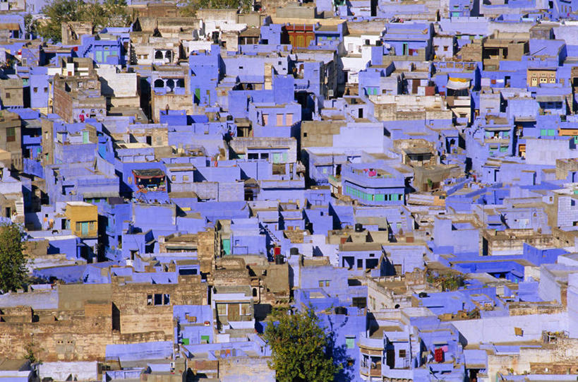 无人,家,横图,俯视,航拍,室外,白天,旅游,度假,植物,印度,亚洲,一排,阴影,整齐,光线,影子,房屋,屋子,乡村,农村,娱乐,楼房,住宅,树,树木,排列,绿色,紫色,阳光,自然,村庄,享受,休闲,旅游胜地,放松,生长,成长,村落,鸟瞰,队列,南亚,拉贾斯坦邦,拉贾斯坦,印度共和国,屯子,墟落,彩图,高角度拍摄,房子