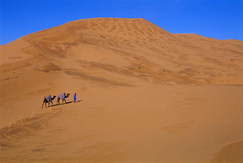 西方人,一个人,走,横图,俯视,室外,白天,旅游,度假,美景,沙漠,野生动物,欧洲,非洲,摩洛哥,黑人,欧洲人,仅一个男性,仅一个人,阴影,光线,影子,景观,娱乐,骆驼,仅一个年轻男性,蓝色,蓝天,天空,阳光,自然,动物,天,两只,享受,休闲,旅游胜地,景色,放松,运输,晴朗,自然风光,万里无云,沙漠之舟,阿非利加洲,原驼,摩洛哥王国,男人,男性,年轻男性,非洲人,大漠,砂漠,晴空,晴空万里,步行,散步,走路,彩图,高角度拍摄,全身