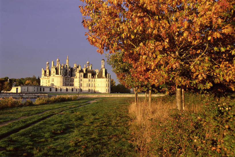 无人,横图,室外,白天,正面,旅游,度假,草地,草坪,河流,名胜古迹,水,植物,标志建筑,地标,建筑,法国,欧洲,阴影,遗迹,光线,影子,堡垒,城堡,河水,水流,古迹,文物,娱乐,建设,古建筑,草,树,树木,蓝色,绿色,蓝天,天空,阳光,自然,天,享受,休闲,旅游胜地,放松,生长,晴朗,成长,要塞,古文明,万里无云,法兰西共和国,卢瓦尔河谷,法兰西第五共和国,卢瓦尔河,罗亚尔河,设防,香博堡,晴空,晴空万里,彩图