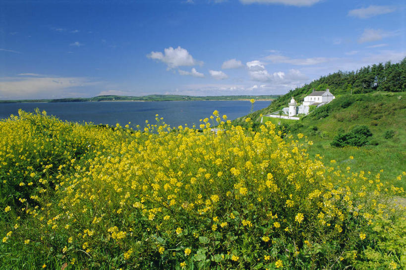 无人,家,横图,室外,白天,正面,旅游,度假,草地,草坪,海浪,海洋,花海,花圃,美景,沙滩,植物,叶子,爱尔兰,欧洲,阴影,盛开,光线,沙子,影子,房屋,屋子,海岸,景观,浪花,水平线,云,云朵,辽阔,海平线,沙地,花蕾,云彩,娱乐,楼房,住宅,草,花,花瓣,花朵,花卉,鲜花,树,树木,蓝色,绿色,白云,蓝天,天空,阳光,自然,海水,花丛,花束,花田,天,花苞,花蕊,享受,休闲,广阔,景色,放松,生长,晴朗,成长,一望无际,西欧,自然风光,海景,爱尔兰共和国,无边无际,一马平川,韦克斯福德郡,大海,风浪,海,海水的波动,海滩,近岸浪,涌浪,晴空,彩图,房子,水天相接,水天一线