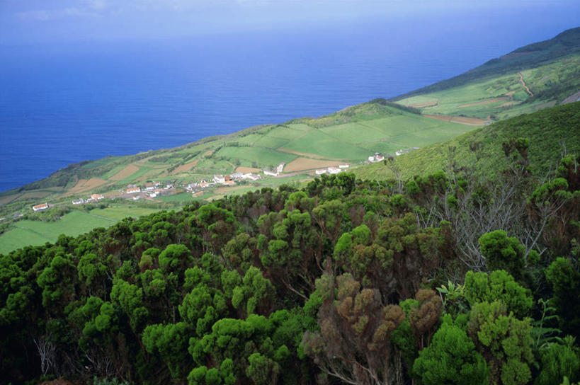 无人,农田,横图,俯视,室外,白天,旅游,度假,庄稼,农作物,草地,草坪,海浪,海洋,美景,沙滩,植物,葡萄牙,欧洲,阴影,光线,沙子,影子,海岸,景观,浪花,沙地,娱乐,草,树,树木,绿色,阳光,自然,海水,享受,休闲,景色,放松,生长,成长,南欧,自然风光,海景,葡萄牙共和国,亚速尔群岛,亚速群岛,大海,风浪,海,海水的波动,海滩,近岸浪,涌浪,彩图,高角度拍摄,耕地,庄稼田