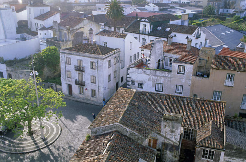 无人,家,横图,俯视,室外,白天,度假,美景,植物,别墅,城市风光,城市,道路,路,路灯,照明,葡萄牙,欧洲,阴影,光线,影子,房屋,屋子,景观,公寓,小路,灯光,交通,娱乐,洋房,楼房,住宅,灯,树,树木,绿色,阳光,自然,享受,休闲,景色,放松,生长,成长,照亮,照明设备,南欧,葡萄牙共和国,亚速尔群岛,亚速群岛,彩图,高角度拍摄,房子