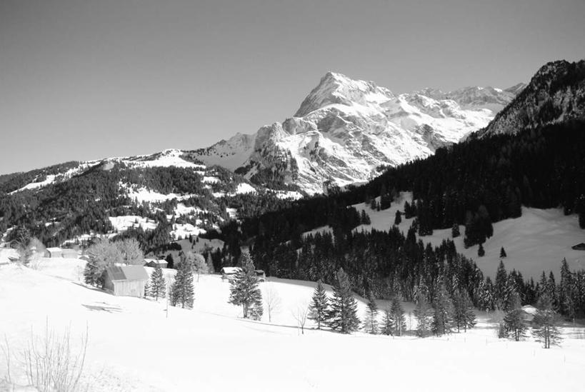 无人,横图,室外,白天,正面,旅游,度假,石头,美景,山,雪,雪山,植物,大雪,瑞士,欧洲,阴影,光线,石子,影子,冰,积雪,景观,山顶,山峰,雪景,冬季,冬天,山峦,首都,娱乐,伯尔尼,树,树木,蓝色,绿色,蓝天,天空,阳光,自然,天,享受,休闲,景色,放松,寒冷,生长,晴朗,成长,冰冷,自然风光,中欧,沉积岩,万里无云,首府,严寒,瑞士联邦,冰凉,酷寒,凛冽,凛凛,极冷,伯尔尼州,颠峰,极峰,水成岩,格施塔德,石块,岩石,晴空,晴空万里,彩图