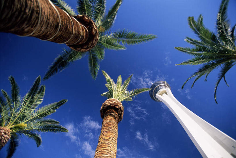 无人,横图,室外,白天,仰视,旅游,度假,植物,标志建筑,城市,地标,建筑,棕榈树,叶子,美国,阴影,光线,影子,柱子,云,云朵,塔,绿叶,四棵,云彩,娱乐,建设,树,树木,蓝色,绿色,白云,蓝天,天空,阳光,自然,天,享受,休闲,嫩叶,旅游胜地,放松,生长,晴朗,成长,北美,北美洲,美洲,棕榈叶,内华达州,拉斯维加斯,北亚美利加洲,亚美利加洲,内华达,北美艾灌木丛州,产银之州,银山州,银之州,赌城,拉斯韦加斯,叶,叶片,晴空,彩图,低角度拍摄