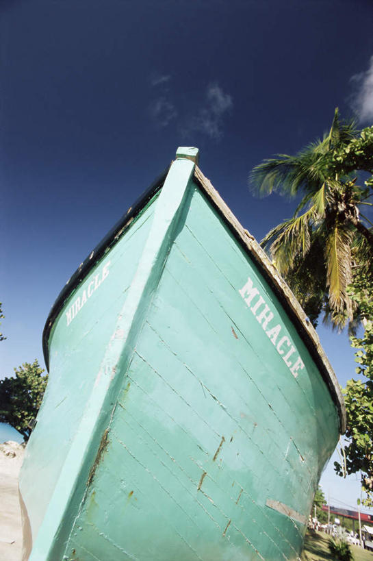 无人,竖图,室外,特写,白天,仰视,沙滩,植物,船,棕榈树,叶子,巴巴多斯,一艘,阴影,朦胧,模糊,光线,沙子,影子,海岸,云,云朵,木船,绿叶,沙地,云彩,树,树木,蓝色,绿色,白云,蓝天,天空,阳光,自然,交通工具,天,嫩叶,生长,晴朗,成长,北美,舟,北美洲,载具,美洲,棕榈叶,北亚美利加洲,亚美利加洲,巴巴多斯共和国,叶,叶片,海滩,晴空,彩图,低角度拍摄