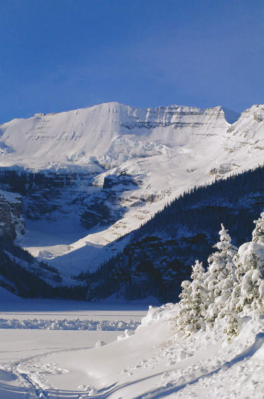 无人,竖图,室外,白天,正面,旅游,度假,湖,湖泊,石头,美景,山,水,雪,雪山,植物,大雪,加拿大,阴影,光线,石子,影子,冰,湖面,积雪,景观,山峰,水流,水面,雪景,冬季,冬天,山峦,娱乐,树,树木,蓝色,绿色,蓝天,天空,阳光,自然,湖水,天,享受,休闲,景色,放松,寒冷,生长,晴朗,成长,冰冷,北美,北美洲,国家公园,自然风光,美洲,阿尔伯塔省,班夫国家公园,万里无云,阿尔伯塔,北亚美利加洲,亚美利加洲,严寒,冰凉,酷寒,凛冽,凛凛,极冷,艾伯塔,艾伯塔省,露易斯湖,石块,岩石,晴空,晴空万里,彩图