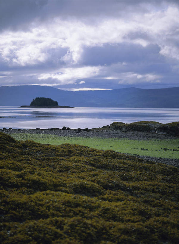 无人,竖图,室外,白天,正面,旅游,度假,草地,草坪,岛屿,海浪,海洋,美景,沙滩,山,山脉,植物,加拿大,沙子,岛,海岸,景观,浪花,山峰,水平线,乌云,云,阴天,云朵,辽阔,海平线,沙地,山峦,云彩,娱乐,草,绿色,天空,自然,海水,群山,天,享受,休闲,广阔,景色,放松,一望无际,北美,北美洲,昏暗,阴沉,自然风光,美洲,海景,北亚美利加洲,亚美利加洲,卑诗省,不列颠哥伦比亚,不列颠哥伦比亚省,夏洛特皇后群岛,无边无际,一马平川,大海,风浪,海,海水的波动,海滩,近岸浪,列岛,群岛,涌浪,诸岛,彩图,水天相接,水天一线
