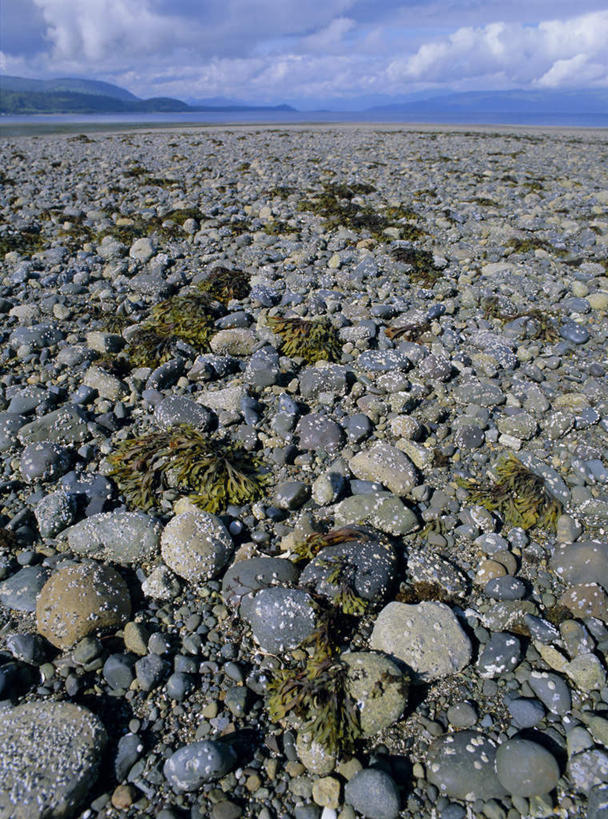 无人,竖图,俯视,室外,白天,旅游,度假,海浪,海洋,石头,美景,沙滩,加拿大,阴影,光线,沙子,石子,影子,地平线,海岸,景观,浪花,云,云朵,辽阔,地面,沙地,云彩,娱乐,蓝色,白云,蓝天,天空,阳光,自然,海水,天,享受,休闲,广阔,景色,放松,晴朗,一望无际,北美,北美洲,自然风光,延伸,美洲,海景,天地相交,北亚美利加洲,亚美利加洲,卑诗省,不列颠哥伦比亚,不列颠哥伦比亚省,夏洛特皇后群岛,无边无际,一马平川,大海,风浪,海,海水的波动,海滩,近岸浪,石块,岩石,涌浪,晴空,彩图,高角度拍摄