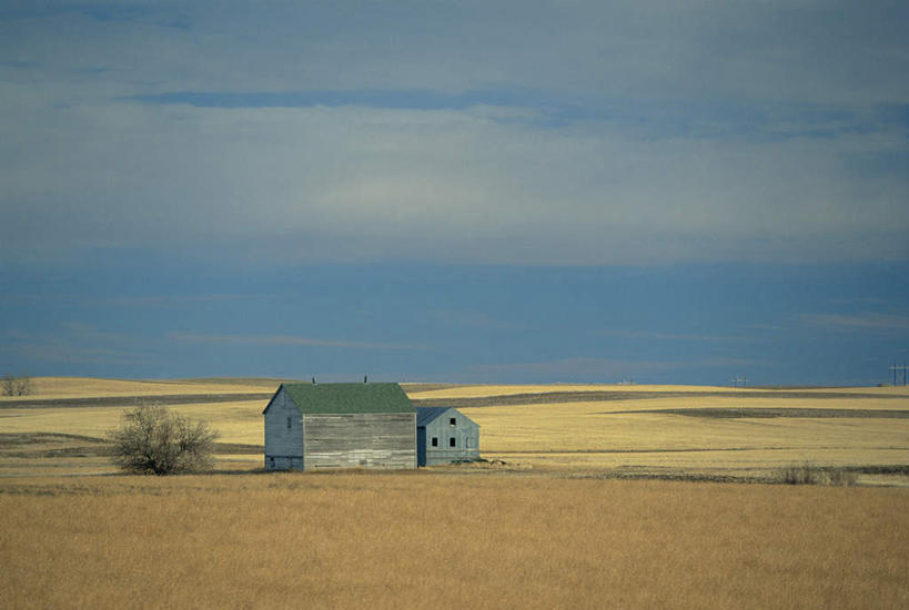 无人,家,农场,横图,俯视,航拍,室外,白天,旅游,度假,畜牧业,牧场,草地,草坪,植物,美国,阴影,光线,影子,房屋,屋子,草屋,地平线,旷野,田野,云,云朵,辽阔,地面,云彩,娱乐,野外,住宅,草,树,树木,蓝色,绿色,白云,蓝天,天空,自然,茅草屋,天,享受,休闲,广阔,放松,生长,晴朗,成长,一望无际,北美,北美洲,鸟瞰,原野,延伸,美洲,畜牧,天地相交,牧业,北亚美利加洲,亚美利加洲,北达科他,北达科他州,苏族之州,金翼啄木鸟尾之州,郊野,无边无际,一马平川,晴空,彩图,高角度拍摄,房子,茅舍,茅屋,小屋