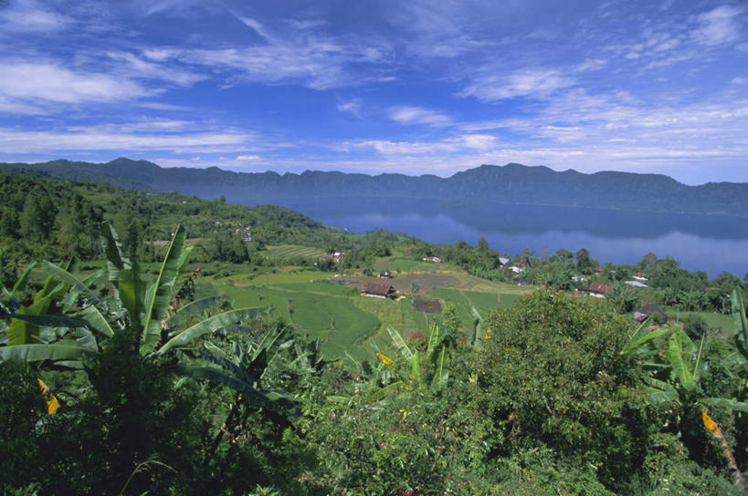 无人,农田,横图,俯视,航拍,室外,白天,旅游,度假,庄稼,梯田,农作物,湖,湖泊,美景,山,山脉,水,植物,棕榈树,叶子,印度尼西亚,印尼,亚洲,阴影,曲折,弯曲,光线,影子,湖面,景观,山峰,水流,水面,云,云朵,绿叶,山峦,云彩,娱乐,树,树木,蓝色,绿色,白云,倒影,蓝天,天空,自然,湖水,群山,天,享受,休闲,嫩叶,景色,放松,东南亚,蜿蜒,生长,晴朗,成长,倒映,鸟瞰,自然风光,苏门答腊,棕榈叶,印度尼西亚共和国,苏门答腊岛,反照,叶,叶片,晴空,彩图,高角度拍摄,耕地,庄稼田