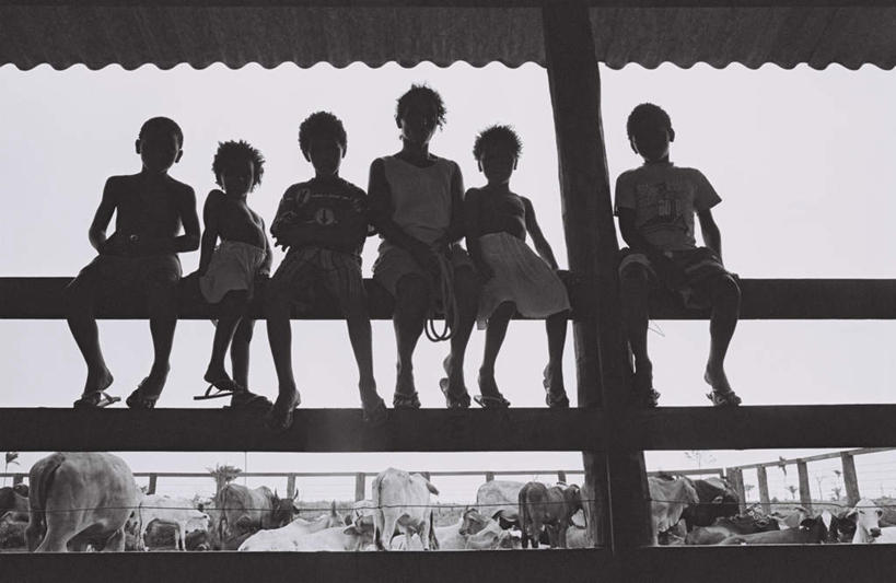 西方人,儿童,伙伴,朋友,农场,栏杆,坐,横图,黑白,室外,白天,仰视,友谊,纯洁,畜牧业,牧场,牛,欧洲,非洲,黑人,欧洲人,一排,一群,许多,阴影,服装,整齐,光线,影子,栅栏,篱笆,围栏,很多,许多人,注视,休闲装,护栏,排列,小孩,衣服,阳光,动物,观察,看,一群人,休闲,休闲服,家畜,可爱,童年,童趣,服饰,牲畜,观看,察看,队列,关注,童真,烂漫,无邪,畜牧,牧业,天真,友情,男孩,男人,男性,女孩,女人,女性,非洲人,坐着,低角度拍摄,全身,男生,女生