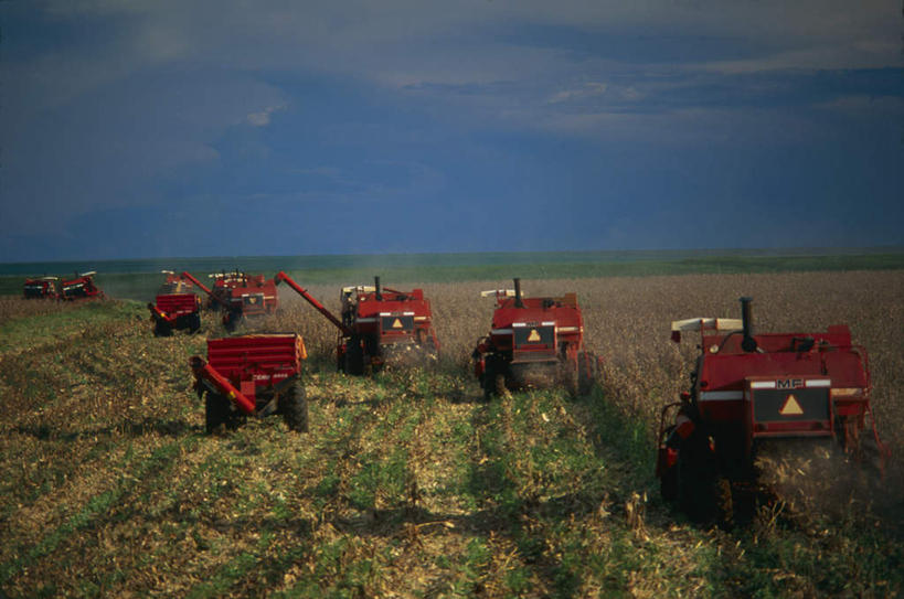 无人,农田,横图,俯视,室外,白天,旅游,度假,农业,庄稼,农作物,美景,汽车,巴西,阴影,丰收,光线,影子,稻田,地平线,景观,云,云朵,辽阔,地面,云彩,娱乐,车,蓝色,白云,蓝天,天空,阳光,自然,交通工具,天,享受,休闲,广阔,机械,景色,南美,放松,收获,晴朗,一望无际,南美洲,拉丁美洲,自然风光,载具,延伸,拖拉机,美洲,巴西联邦共和国,天地相交,亚美利加洲,南亚美利加洲,交通运输,农用机械,无边无际,一马平川,晴空,彩图,高角度拍摄,耕地,庄稼田