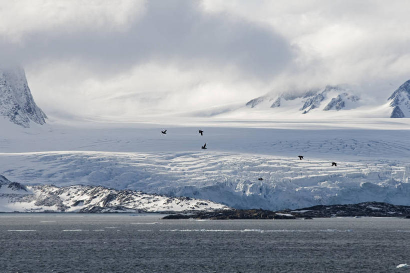 无人,横图,室外,白天,北极,冰山,海洋,山,全球变暖,野生动物,挪威,摩纳哥,欧洲,融化,鸟类,冰,地形,山峰,山峦,飞,冰川,风景,自然,动物,摩纳哥公国,寒冷,摄影,气象,冰冷,迁徙,生物学,气候,冰河,严寒,冰凉,酷寒,凛冽,凛凛,极冷,斯瓦尔巴德群岛,海鸽,海滩,彩图