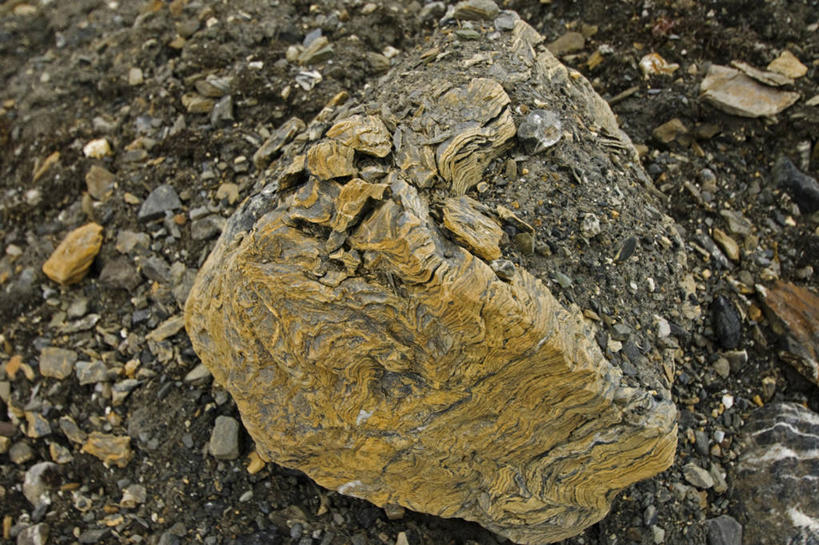无人,横图,室外,特写,白天,北极,挪威,地形,自然,摄影,式样,斯瓦尔巴德群岛,地质学,岩石,彩图